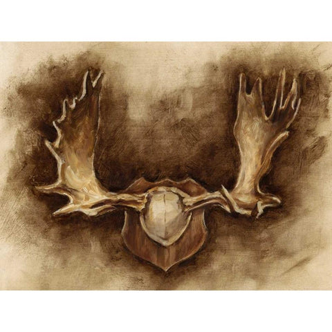 Rustic Antler Mount II White Modern Wood Framed Art Print by Harper, Ethan