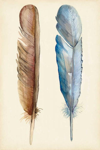 Plumage I Black Ornate Wood Framed Art Print with Double Matting by Ludwig, Alicia