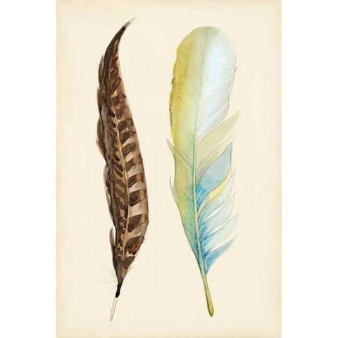 Plumage II Black Modern Wood Framed Art Print with Double Matting by Ludwig, Alicia