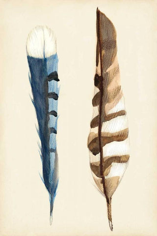 Plumage III Black Ornate Wood Framed Art Print with Double Matting by Ludwig, Alicia