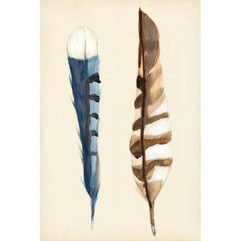 Plumage III Black Modern Wood Framed Art Print by Ludwig, Alicia