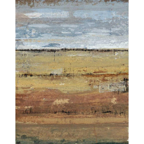 Field Layers I Gold Ornate Wood Framed Art Print with Double Matting by OToole, Tim