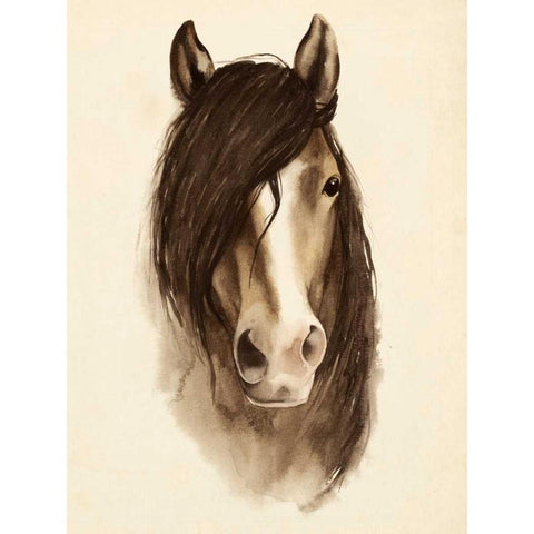 Watercolor Barn Animals II Black Modern Wood Framed Art Print with Double Matting by Popp, Grace