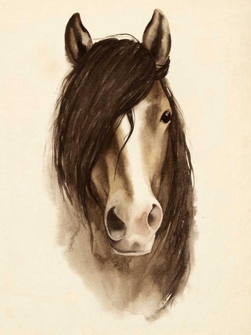 Watercolor Barn Animals II White Modern Wood Framed Art Print with Double Matting by Popp, Grace