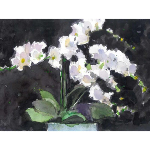 Something Floral VII Black Modern Wood Framed Art Print by Dixon, Samuel