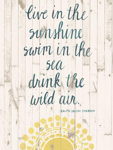 Sun Quote IV Black Ornate Wood Framed Art Print with Double Matting by Popp, Grace