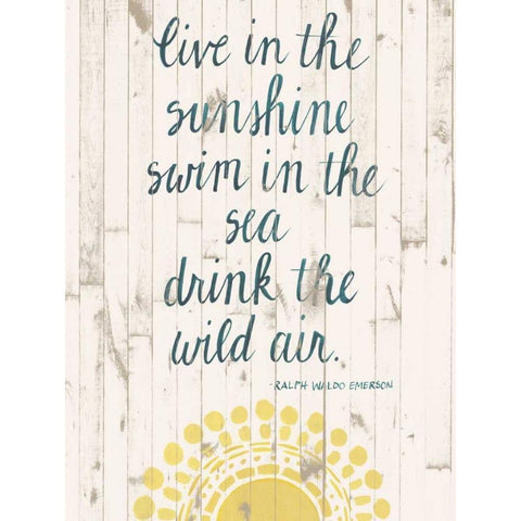 Sun Quote IV Gold Ornate Wood Framed Art Print with Double Matting by Popp, Grace
