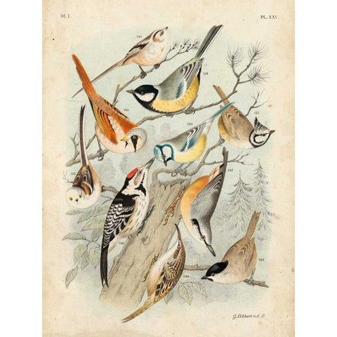 Gathering of Birds II Gold Ornate Wood Framed Art Print with Double Matting by Lubbert, G.