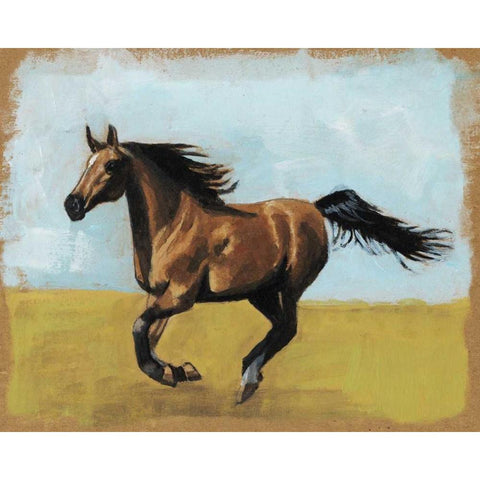 Equestrian Studies II Black Modern Wood Framed Art Print with Double Matting by McCavitt, Naomi