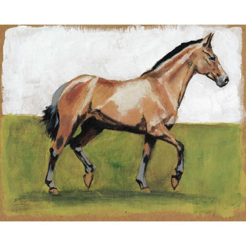 Equestrian Studies III White Modern Wood Framed Art Print by McCavitt, Naomi
