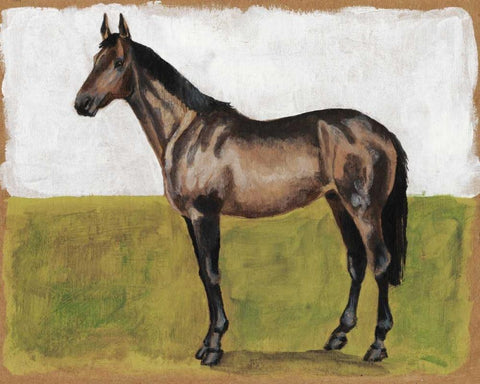 Equestrian Studies IV Black Ornate Wood Framed Art Print with Double Matting by McCavitt, Naomi