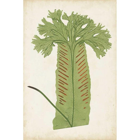 Fern Family V Gold Ornate Wood Framed Art Print with Double Matting by Lowe