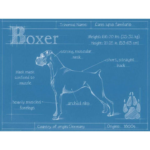 Blueprint Boxer Gold Ornate Wood Framed Art Print with Double Matting by Harper, Ethan