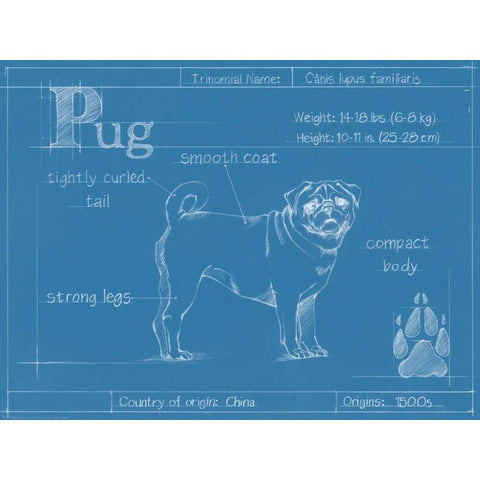 Blueprint Pug Gold Ornate Wood Framed Art Print with Double Matting by Harper, Ethan