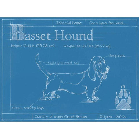 Blueprint Basset Hound Black Modern Wood Framed Art Print by Harper, Ethan