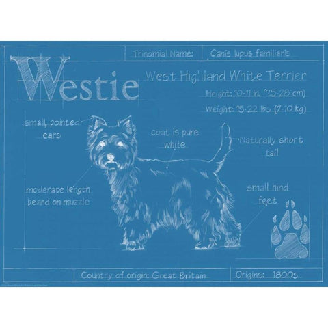 Blueprint Westie Black Modern Wood Framed Art Print by Harper, Ethan