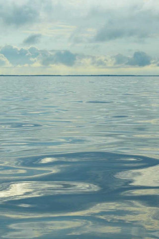 Water I White Modern Wood Framed Art Print with Double Matting by Chandler, Sharon