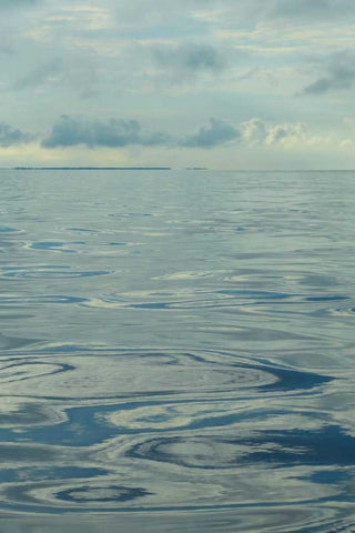 Water II Black Ornate Wood Framed Art Print with Double Matting by Chandler, Sharon