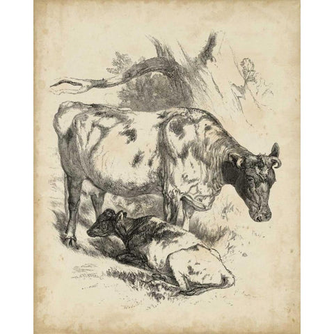 Pastoral Sketch I Black Modern Wood Framed Art Print with Double Matting by Unknown