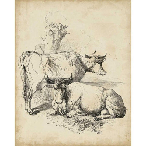 Pastoral Sketch III Black Modern Wood Framed Art Print by Unknown
