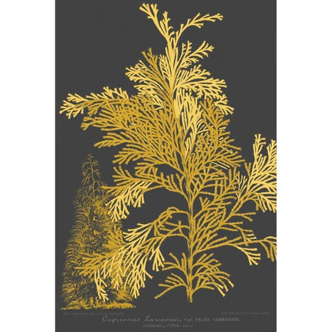 Trees and Leaves I Gold Ornate Wood Framed Art Print with Double Matting by Vision Studio