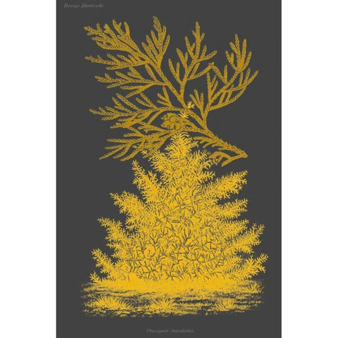 Trees and Leaves II Gold Ornate Wood Framed Art Print with Double Matting by Vision Studio