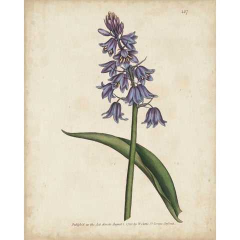 Lavender Curtis Botanicals II Gold Ornate Wood Framed Art Print with Double Matting by Curtis