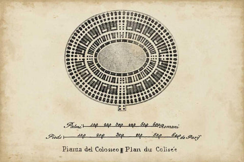 Plan for the Colosseum White Modern Wood Framed Art Print with Double Matting by Unknown