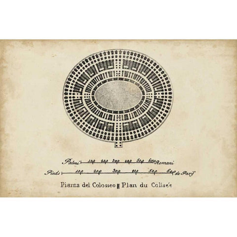 Plan for the Colosseum Gold Ornate Wood Framed Art Print with Double Matting by Unknown