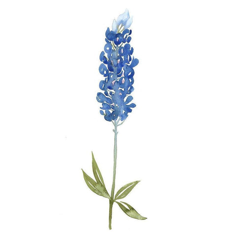 Blue Bonnets I (ASH) Gold Ornate Wood Framed Art Print with Double Matting by Popp, Grace