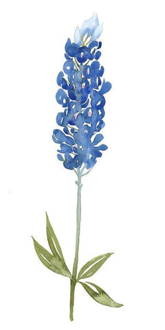 Blue Bonnets I (ASH) White Modern Wood Framed Art Print with Double Matting by Popp, Grace