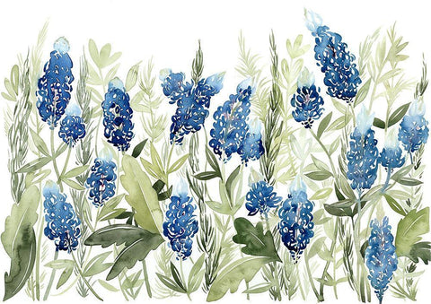 Blue Bonnets III (ASH) White Modern Wood Framed Art Print with Double Matting by Popp, Grace