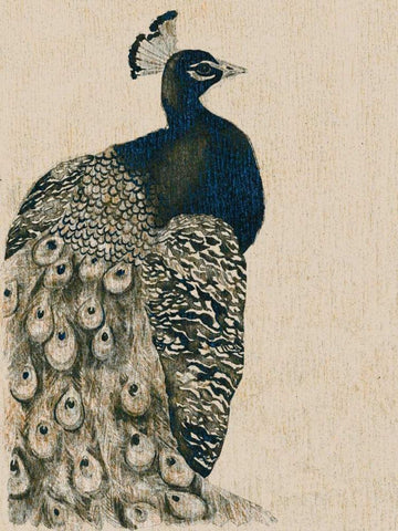 Textured Peacock I Black Ornate Wood Framed Art Print with Double Matting by Popp, Grace