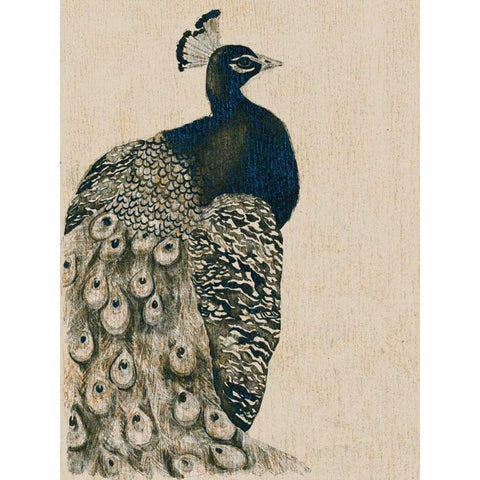 Textured Peacock I Gold Ornate Wood Framed Art Print with Double Matting by Popp, Grace