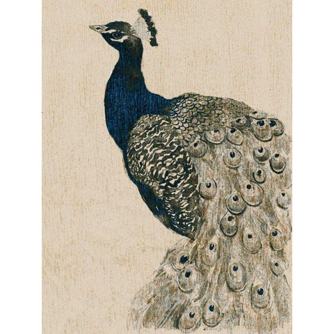 Textured Peacock II White Modern Wood Framed Art Print by Popp, Grace