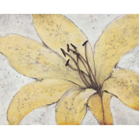 Transparency Flower II Gold Ornate Wood Framed Art Print with Double Matting by OToole, Tim