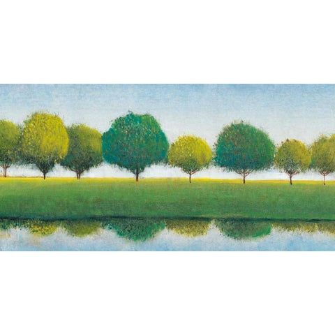 Trees in a Line I Black Modern Wood Framed Art Print with Double Matting by OToole, Tim