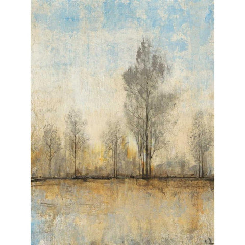 Quiet Nature I White Modern Wood Framed Art Print by OToole, Tim