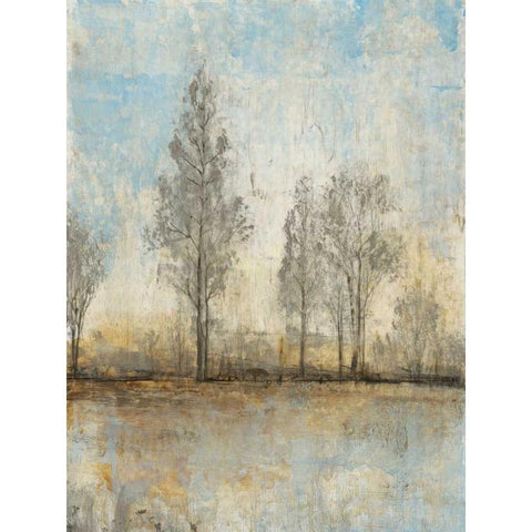 Quiet Nature II Black Modern Wood Framed Art Print by OToole, Tim