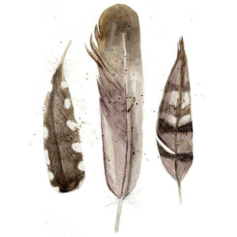 Earthtone Feathers II Gold Ornate Wood Framed Art Print with Double Matting by Ludwig, Alicia