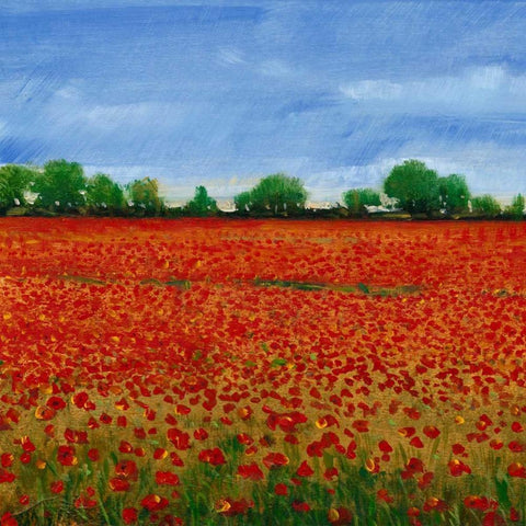 Field of Poppies I White Modern Wood Framed Art Print with Double Matting by OToole, Tim