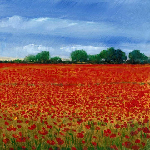 Field of Poppies II White Modern Wood Framed Art Print by OToole, Tim