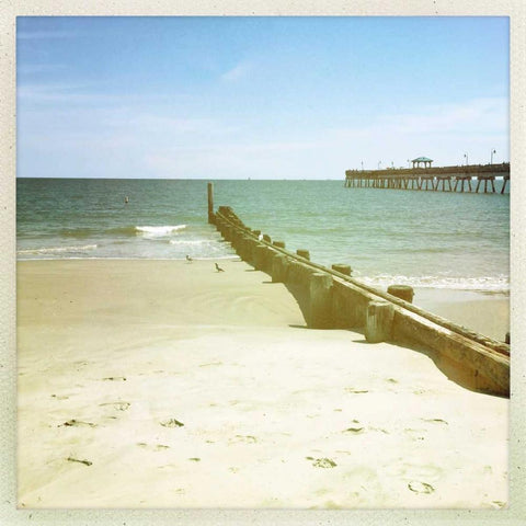 Bay View III Black Ornate Wood Framed Art Print with Double Matting by Ludwig, Alicia