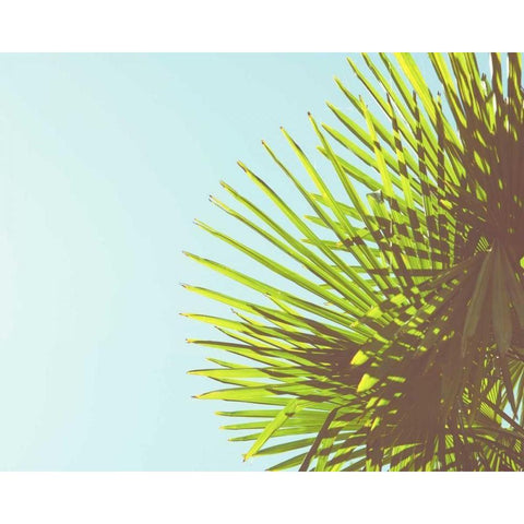 Sunny Palms II Black Modern Wood Framed Art Print by Quintero, Sonja