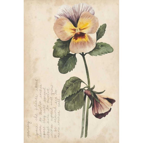Garden Studies I White Modern Wood Framed Art Print by Popp, Grace