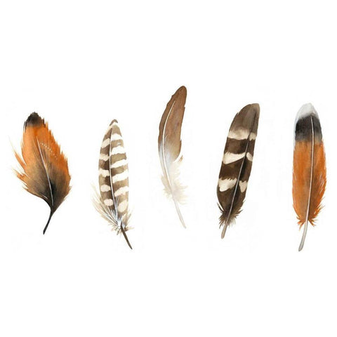 Red Rock Feathers I Gold Ornate Wood Framed Art Print with Double Matting by Popp, Grace