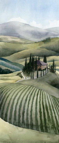 Watercolor Tuscany II Black Ornate Wood Framed Art Print with Double Matting by Popp, Grace