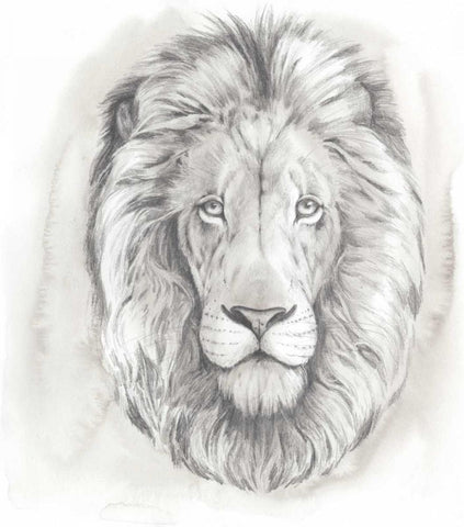 Big Cat Study III White Modern Wood Framed Art Print with Double Matting by Popp, Grace