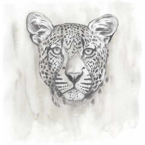 Big Cat Study IV White Modern Wood Framed Art Print by Popp, Grace