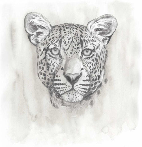 Big Cat Study IV White Modern Wood Framed Art Print with Double Matting by Popp, Grace
